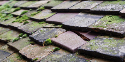 Ickwell roof repair costs